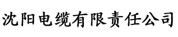 和年级第一英年早婚电缆厂logo